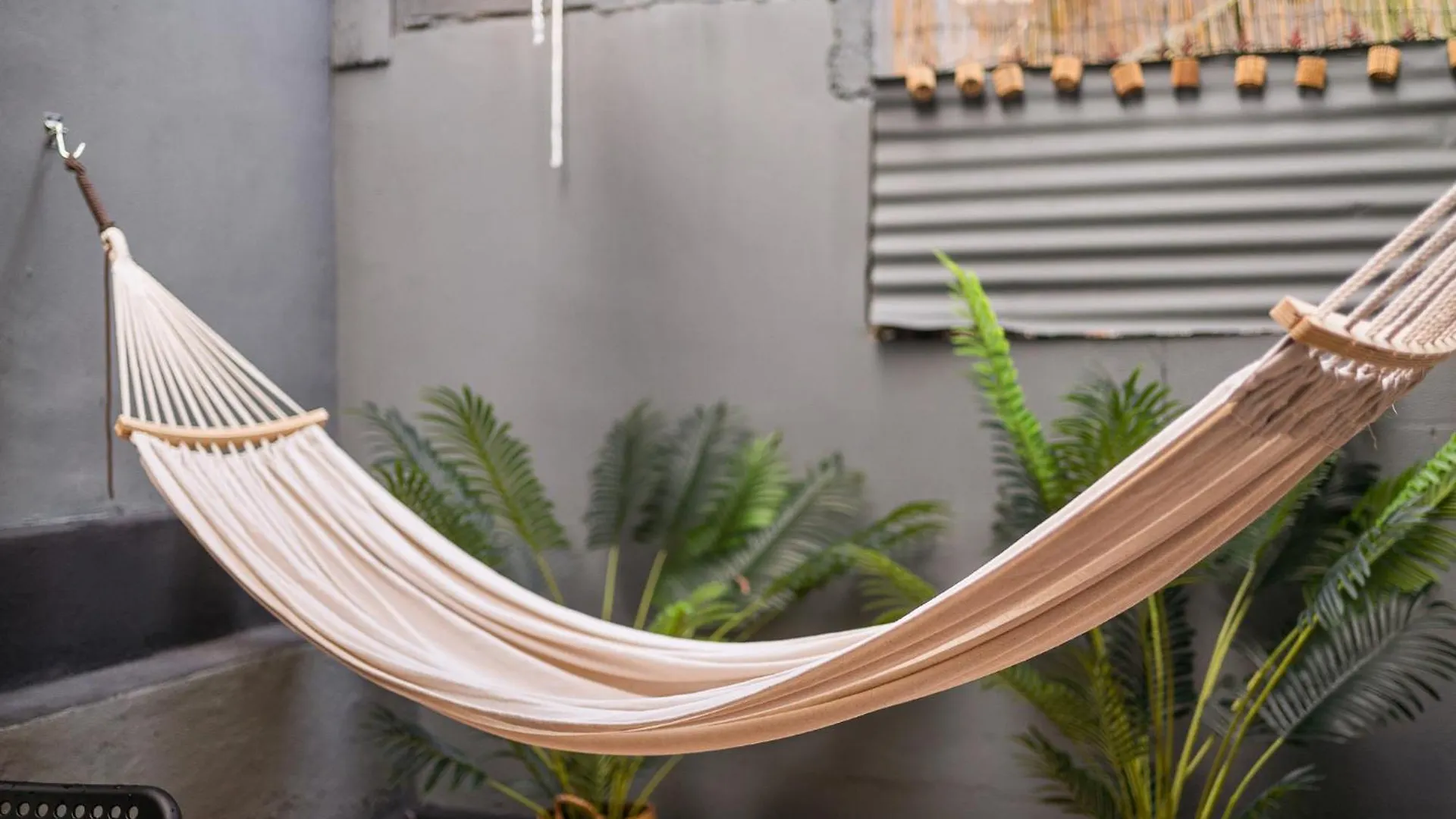 Private Yard - 2 Bedrooms - San Juan Apartment By Ph