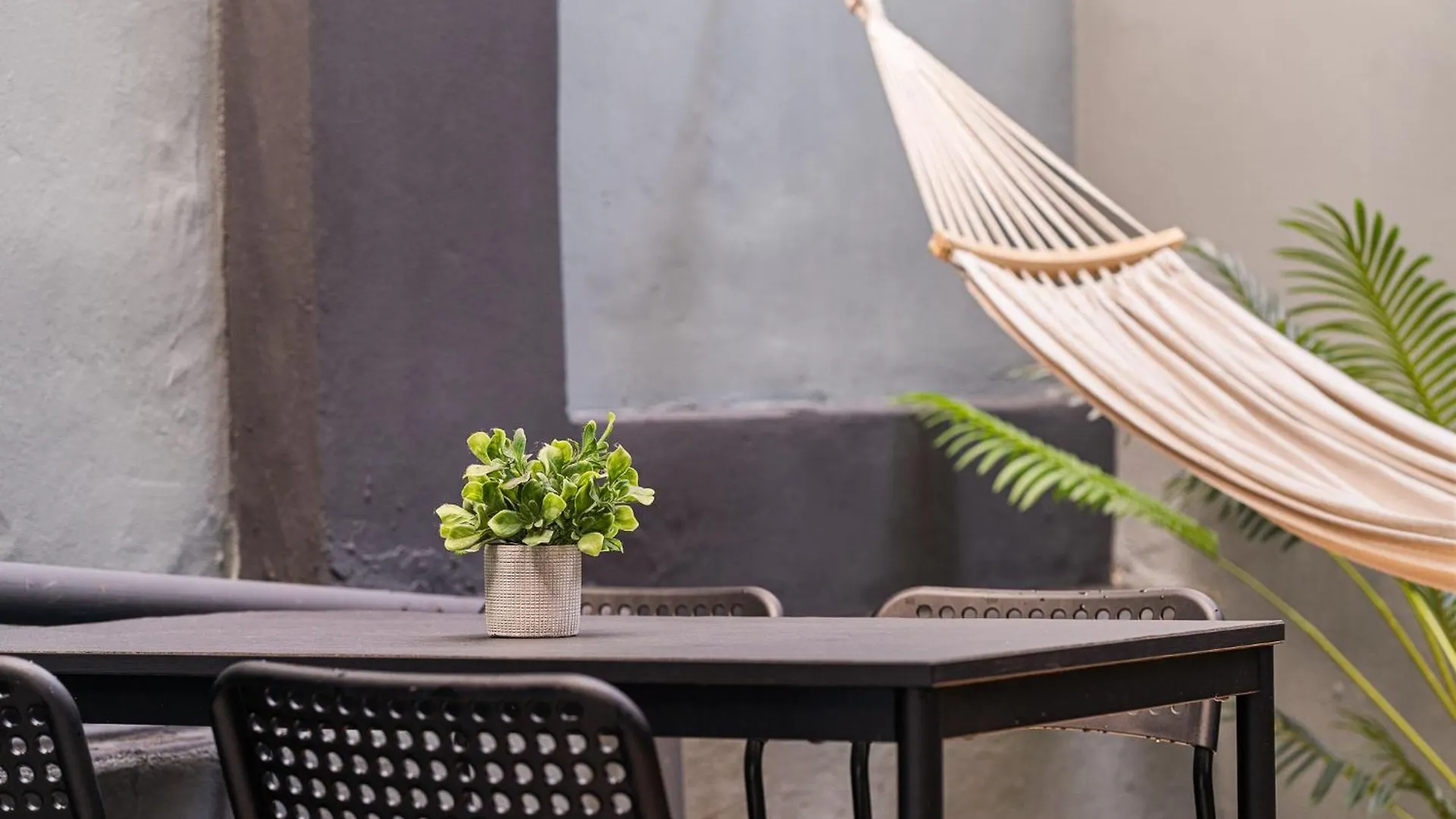 Private Yard - 2 Bedrooms - San Juan Apartment By Ph